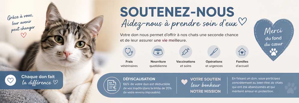 don pour defiscaliser toulouse