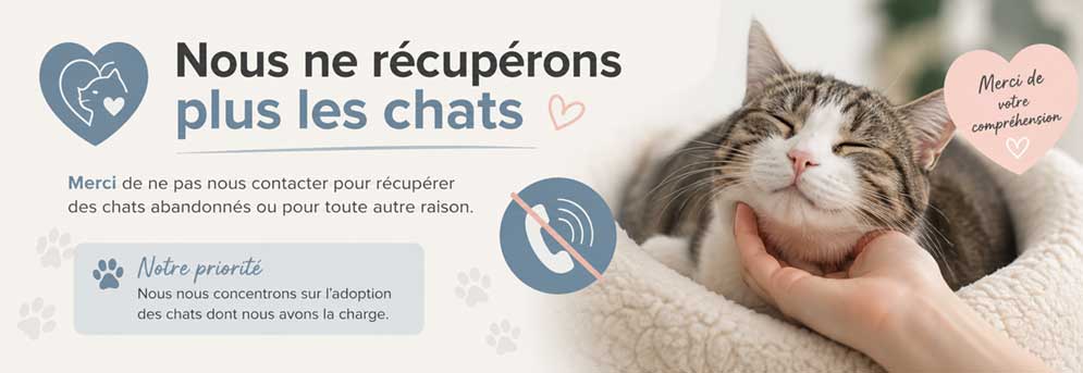 L'association ne récupère plus les chats