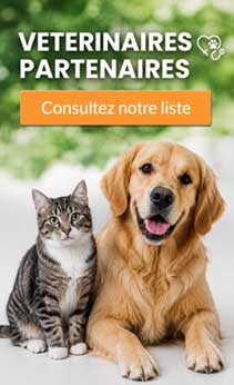 veterinaire toulouse