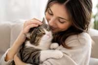 Les chats à parrainer sur Toulouse